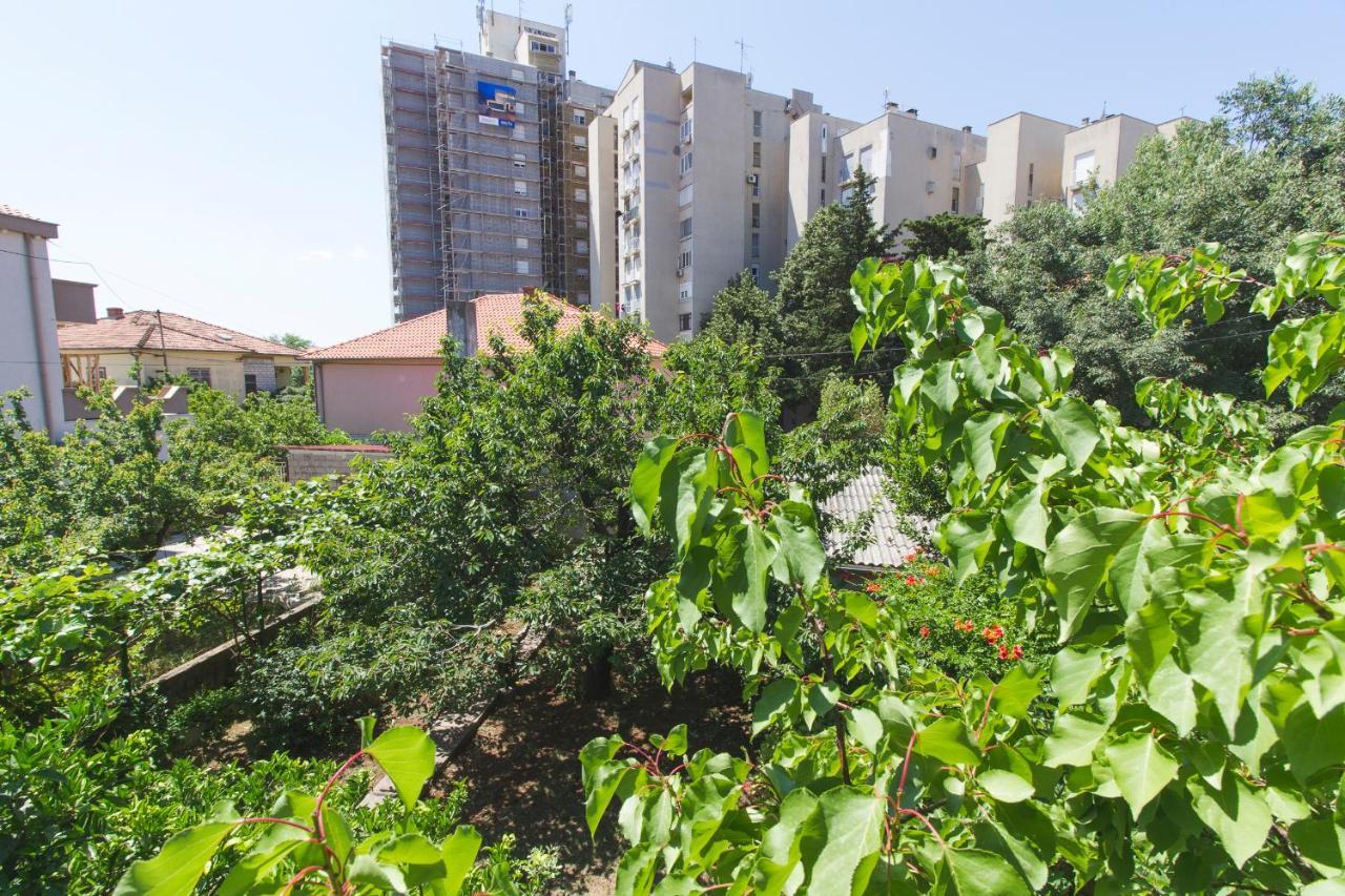 Apartman Andrijana Zadar Eksteriør billede